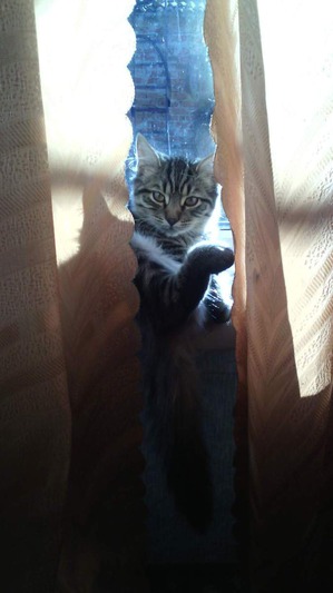 ����: ��� ��� �� ���� �����.