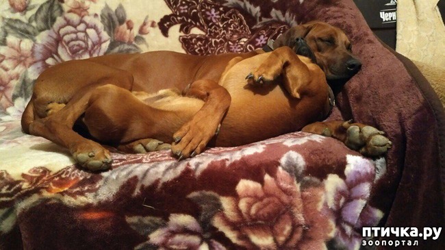 ���� 32: ������ ���� ����� ����������!