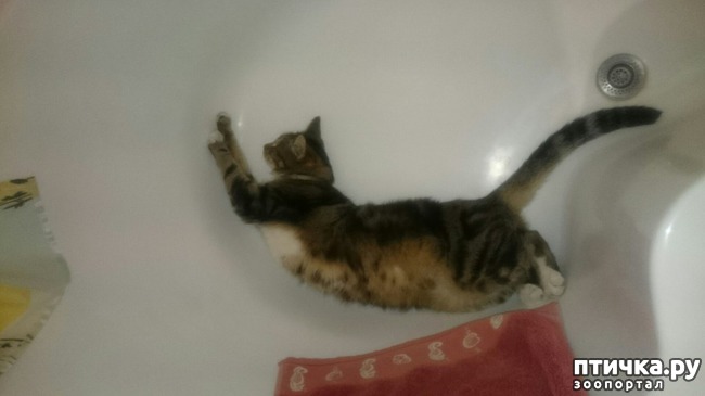 ���� 33: ������ ���� ����� ����������!