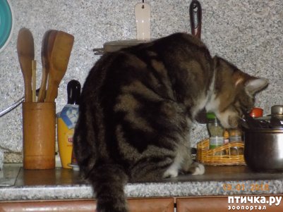 ���� 35: ������ ���� ����� ����������!