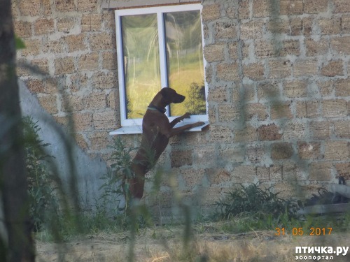 ���� 36: ������ ���� ����� ����������!