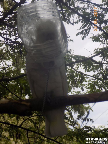 ���� 38: ������ ���� ����� ����������!