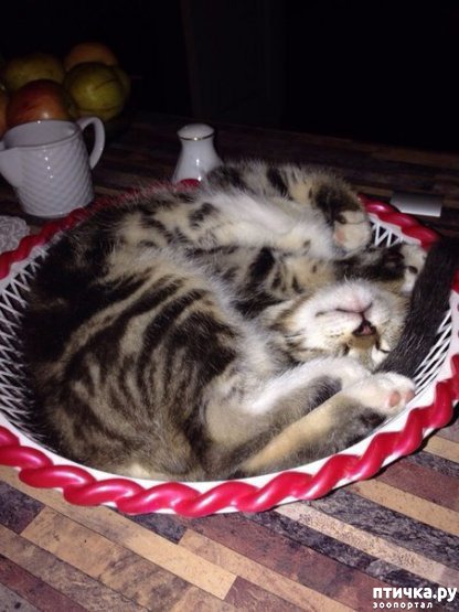 ���� 39: ������ ���� ����� ����������!