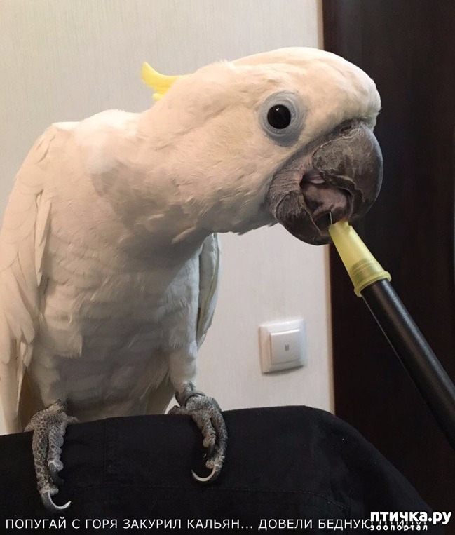 ���� 40: ������ ���� ����� ����������!