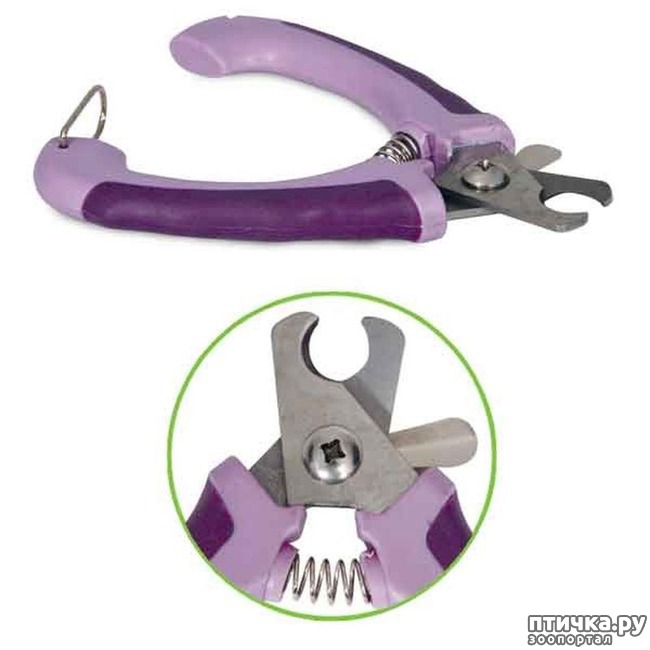 ���� 2: ��� �������� ����� ������?