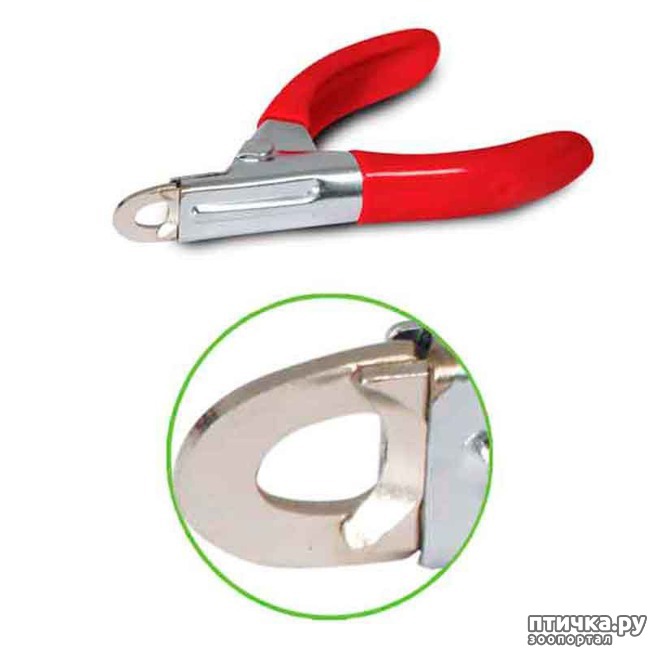 ���� 3: ��� �������� ����� ������?