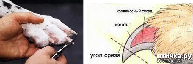 ���� 5: ��� �������� ����� ������?