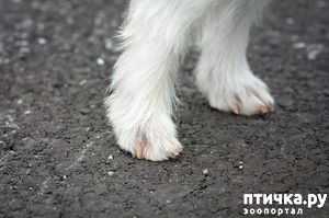 ����: ��� �������� ����� ������?