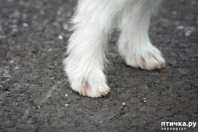 ���� 1: ��� �������� ����� ������?