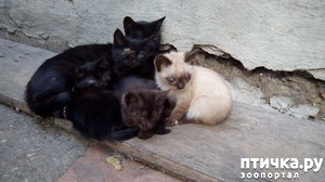 ����: � ���� ���������