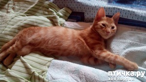 ����: ������ �� ����