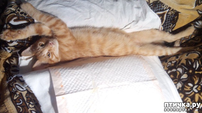 ���� 2: ������ �� ����