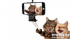 ����: ����� ��������