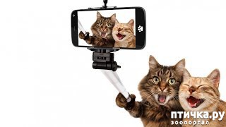 ���� 1: ����� ��������