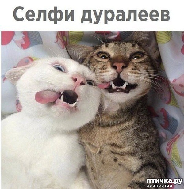 ���� 3: ����� ��������