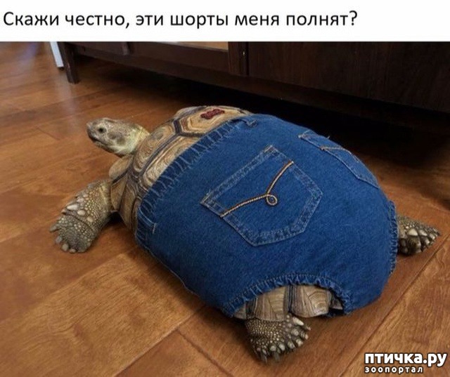 ���� 4: ����� ��������