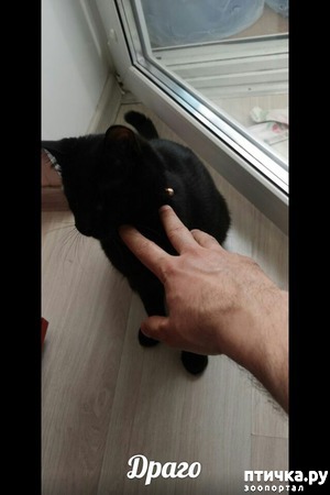 ����: � ������ �������