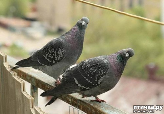 ���� 1: ����� ������ � ������