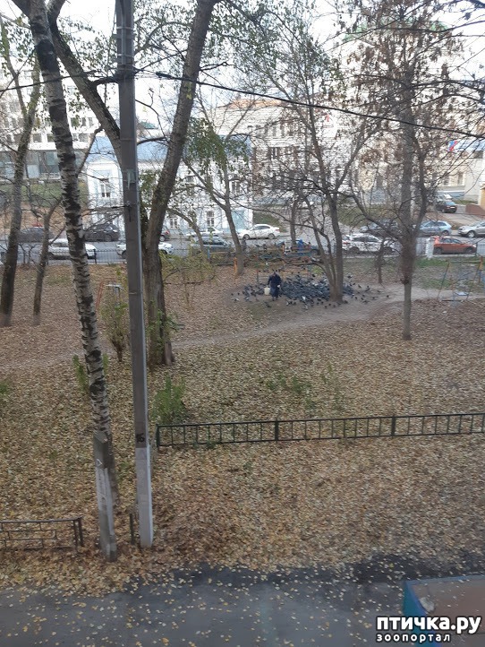 ���� 2: ����� ������ � ������