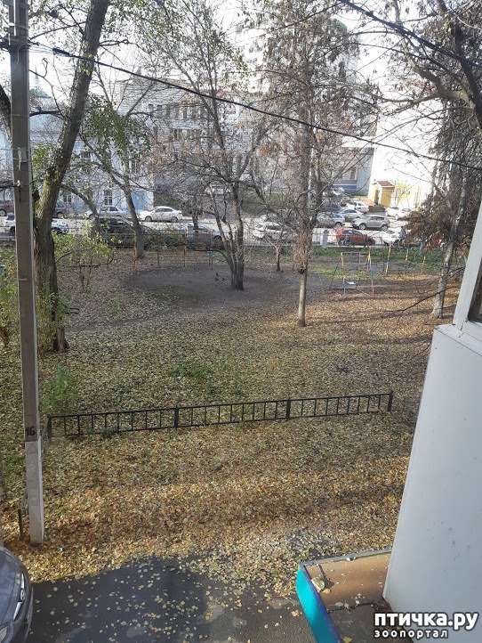 ���� 3: ����� ������ � ������