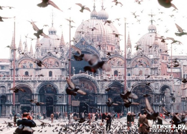 ���� 4: ����� ������ � ������