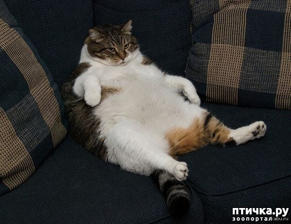 ���� 1: ������� ��� ������