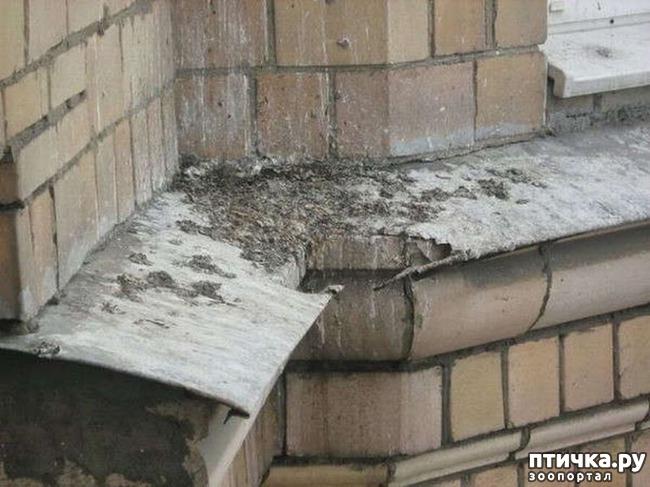 ���� 9: ����� ������ � ������