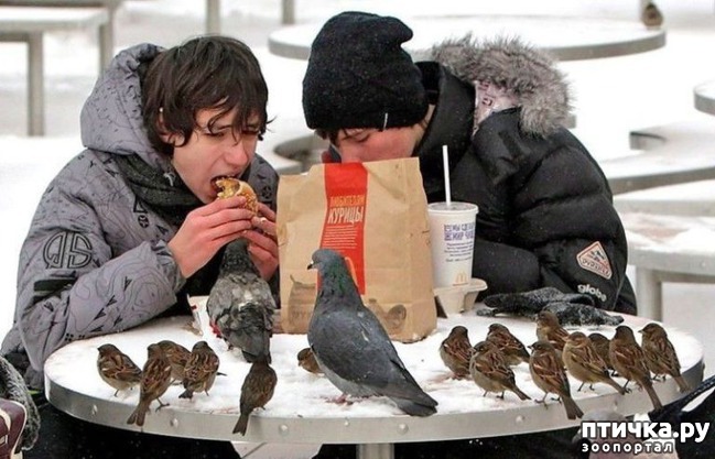 ���� 6: ����� ������ � ������