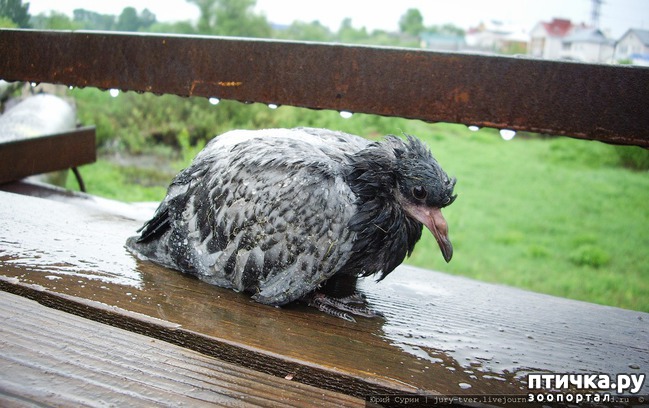 ���� 7: ����� ������ � ������