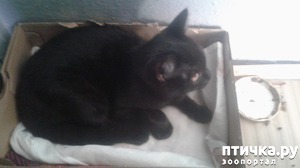 ����: ��������.