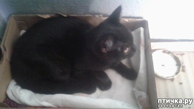 ���� 1: ��������.