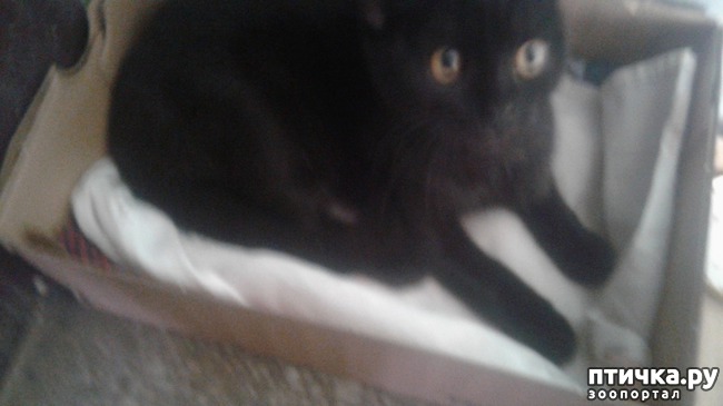 ���� 2: ��������.