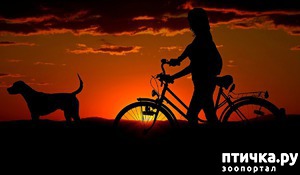 ����: ���������� ������������ � ������������� ����� � ���������� �� ����������.