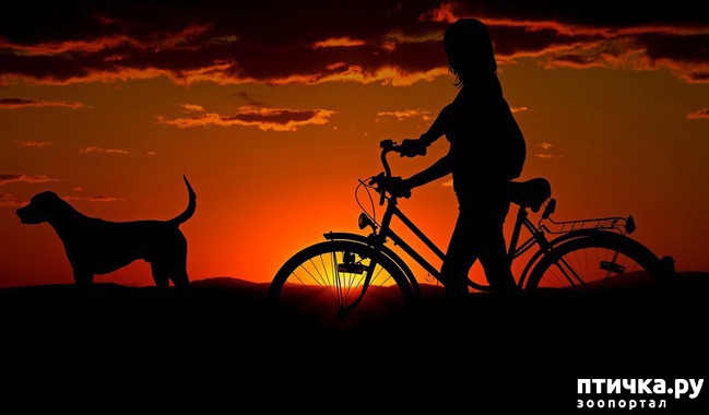 ���� 1: ���������� ������������ � ������������� ����� � ���������� �� ����������.