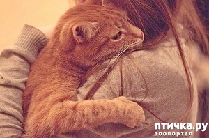 ����: ����� ���������