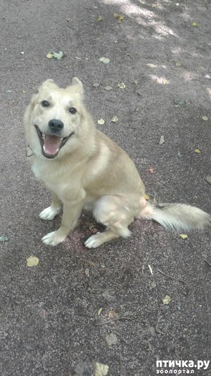 ����: ������� ����������� (�����������) �.13 (��������, ��������������)