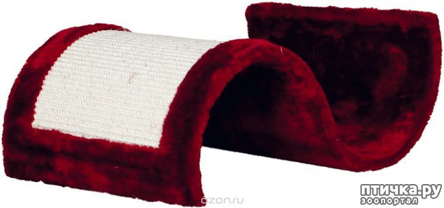 ���� 8: � ���� 