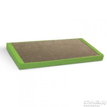 ���� 9: � ���� 