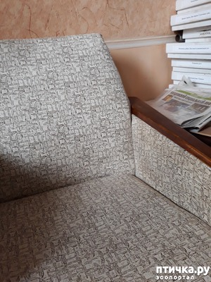 ����: � ���� "�����������"