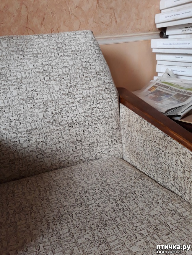 ���� 1: � ���� 