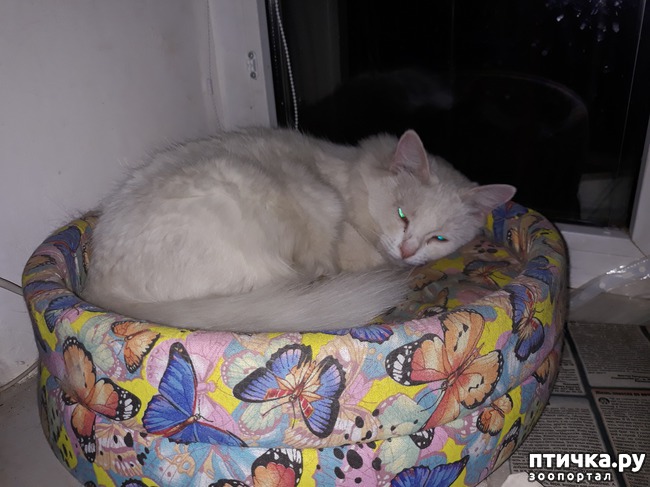 ���� 10: � ���� 