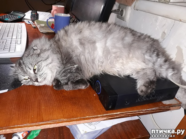 ���� 12: � ���� 