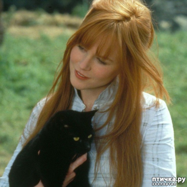 ���� 5: ����� �� ������ ��������������