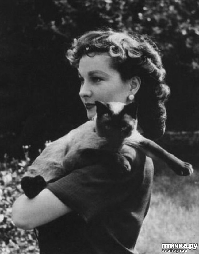 ���� 1: ����� �� ������ ��������������