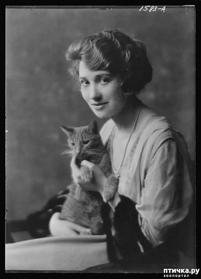 ���� 3: ����� �� ������ ��������������