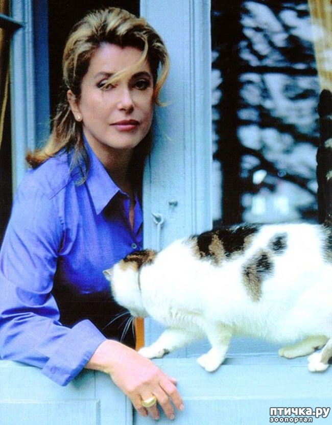 ���� 7: ����� �� ������ ��������������