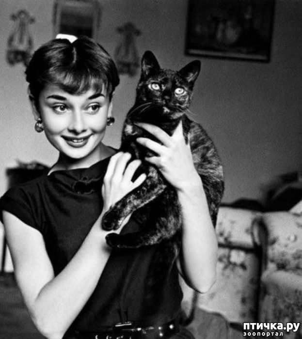 ���� 17: ����� �� ������ ��������������