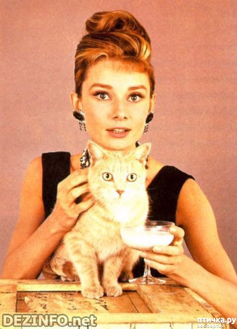 ���� 10: ����� �� ������ ��������������