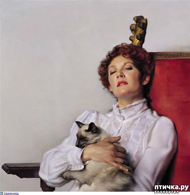 ���� 12: ����� �� ������ ��������������