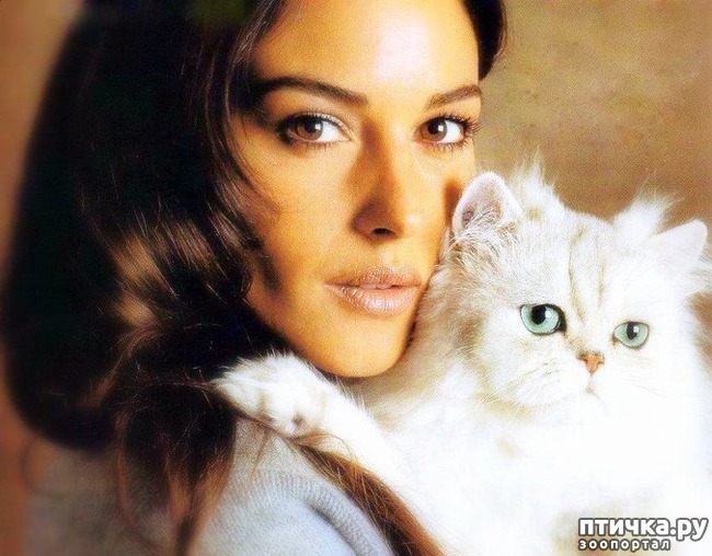 ���� 18: ����� �� ������ ��������������